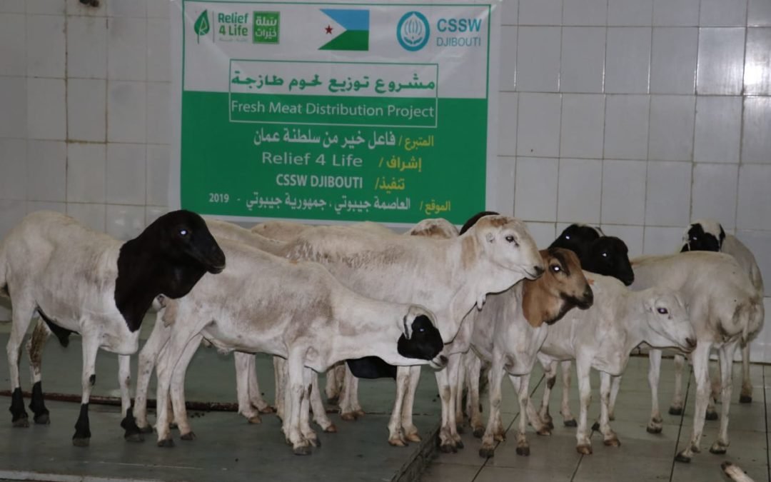 توزيع لحوم في عيد الأضحى  على إخواننا اللاجئين اليمنيين في جيبوتي